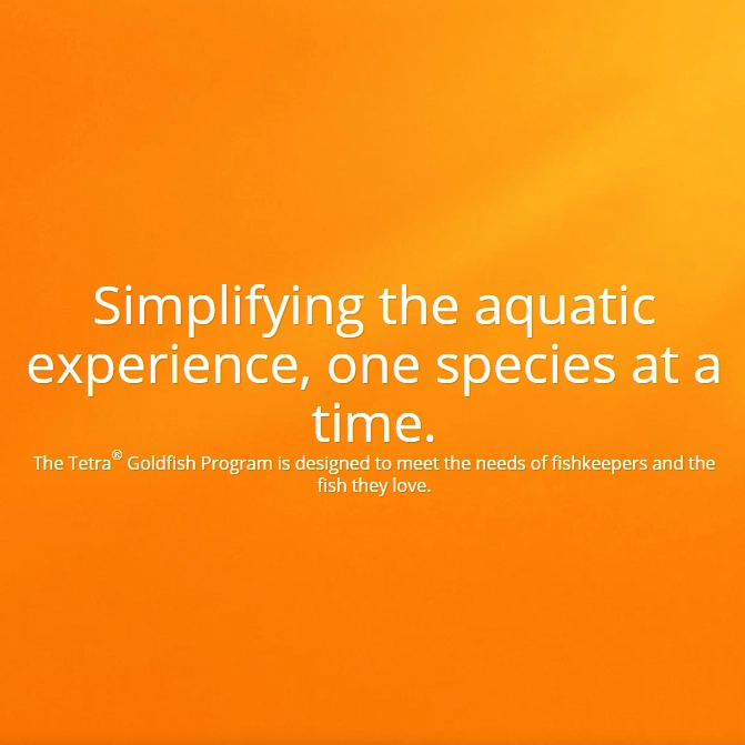 Tetra Goldfish Aquarium Kit