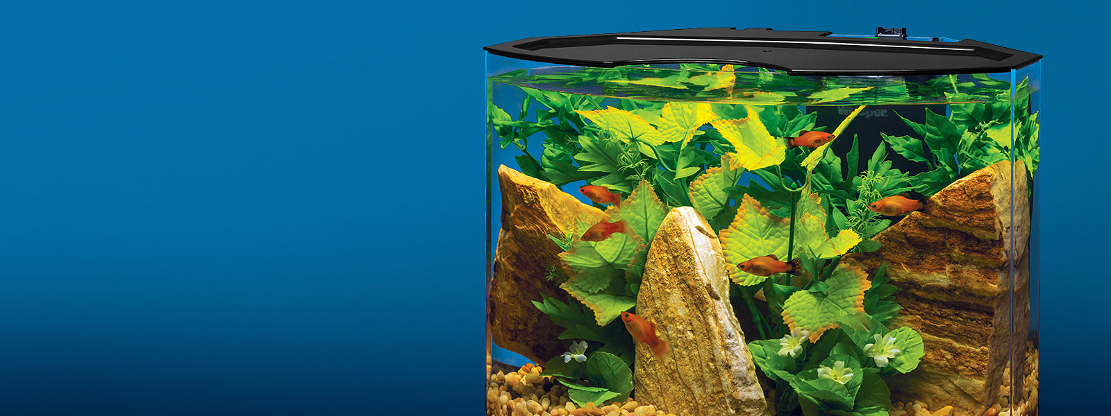 Tetra Aquarium Kits
