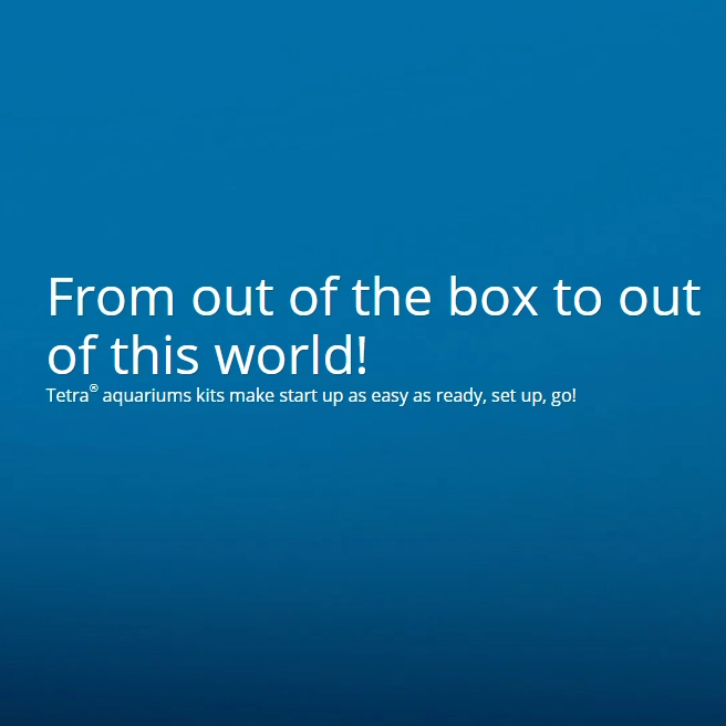 From out of the box_mobile