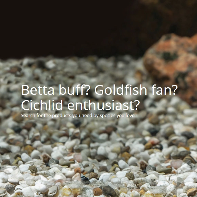 Find Tetra Proudcts by Fish Species