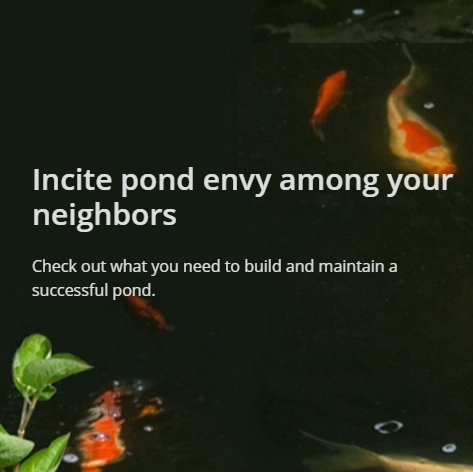 Tetra Pond Inspiration