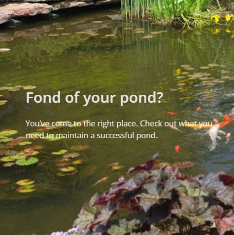 Tetra Pond Inspiration