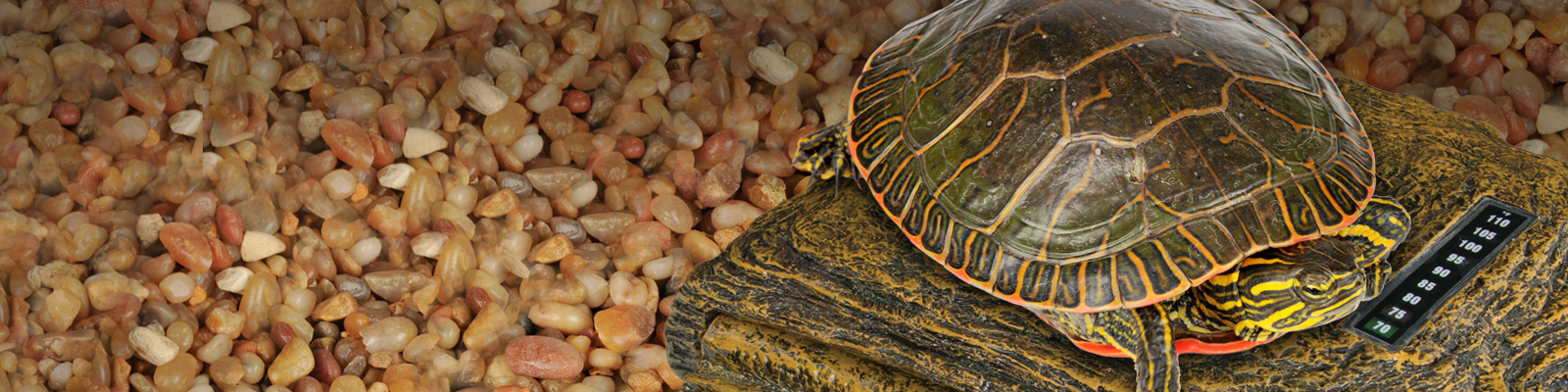 TetraFauna Turtle Island