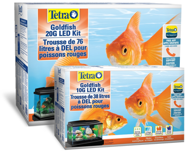  Goldfish Aquarium Kits