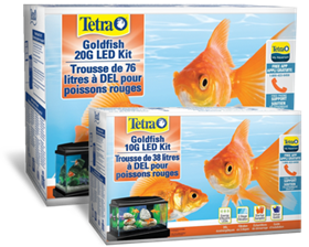 Goldfish Aquarium Kits