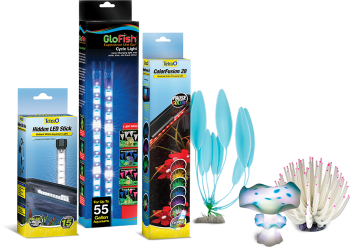 Lighting and Decor Products