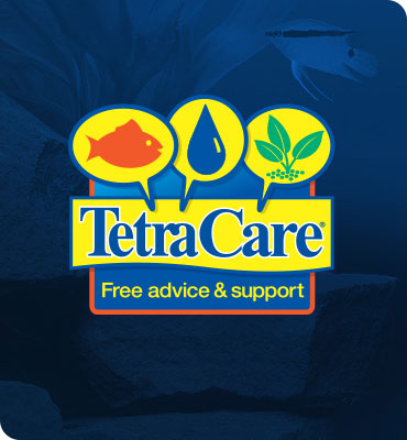 Tetra Care