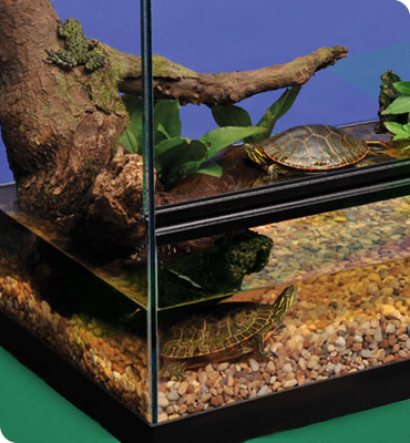 Tetra Deluxe ReptoHabitat