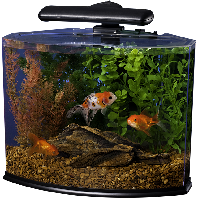 29003 Tetra Crescent Aquarium Kit Wet