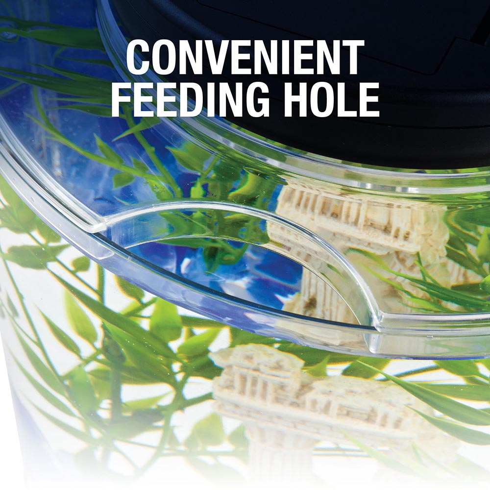 AQ-29049 Tetra LED Half Moon Aquarium Kit, 1.1 Gallons, Small, Clear Plastic Fish Tank With Curved Front - Convenient Feeding Hole