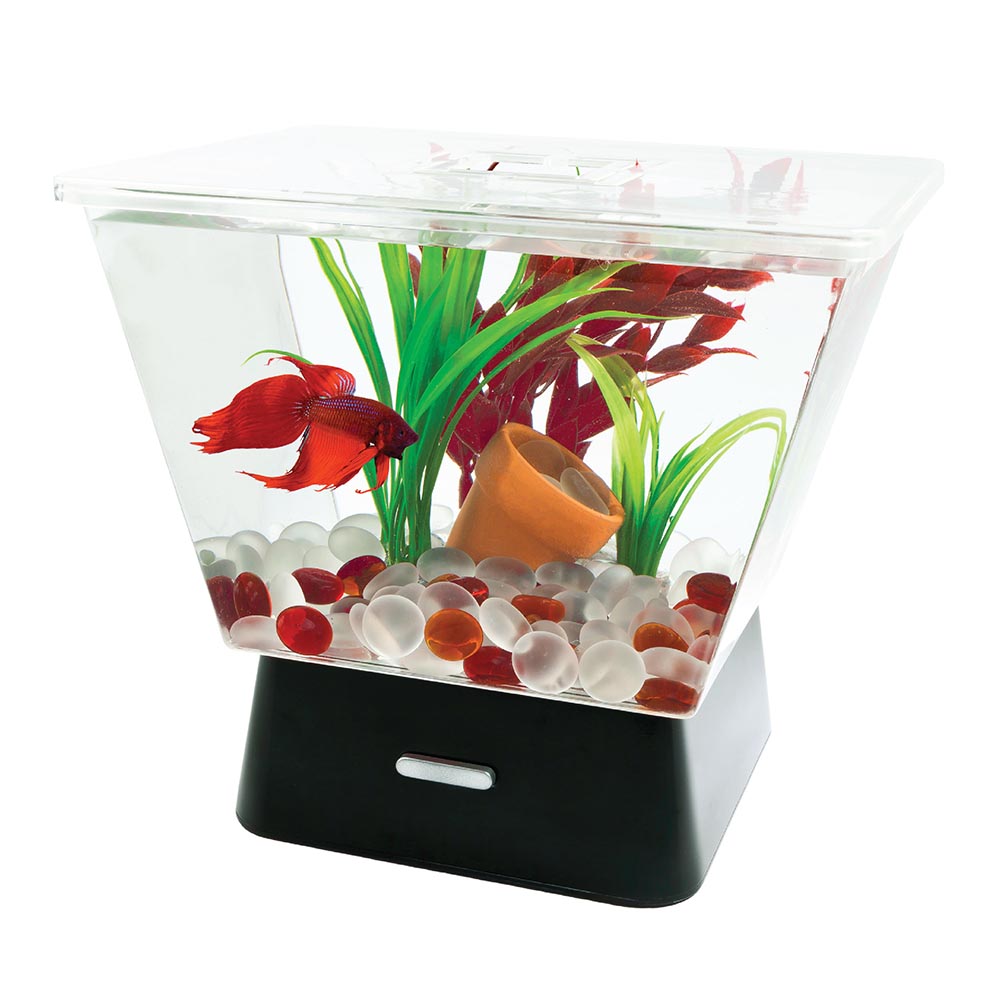 AQ-29050 Tetra LED Betta Tank, 1 Gallon, Small, Clear Plastic Trapezoid-Shaped Fish Tank - Front Render Wet