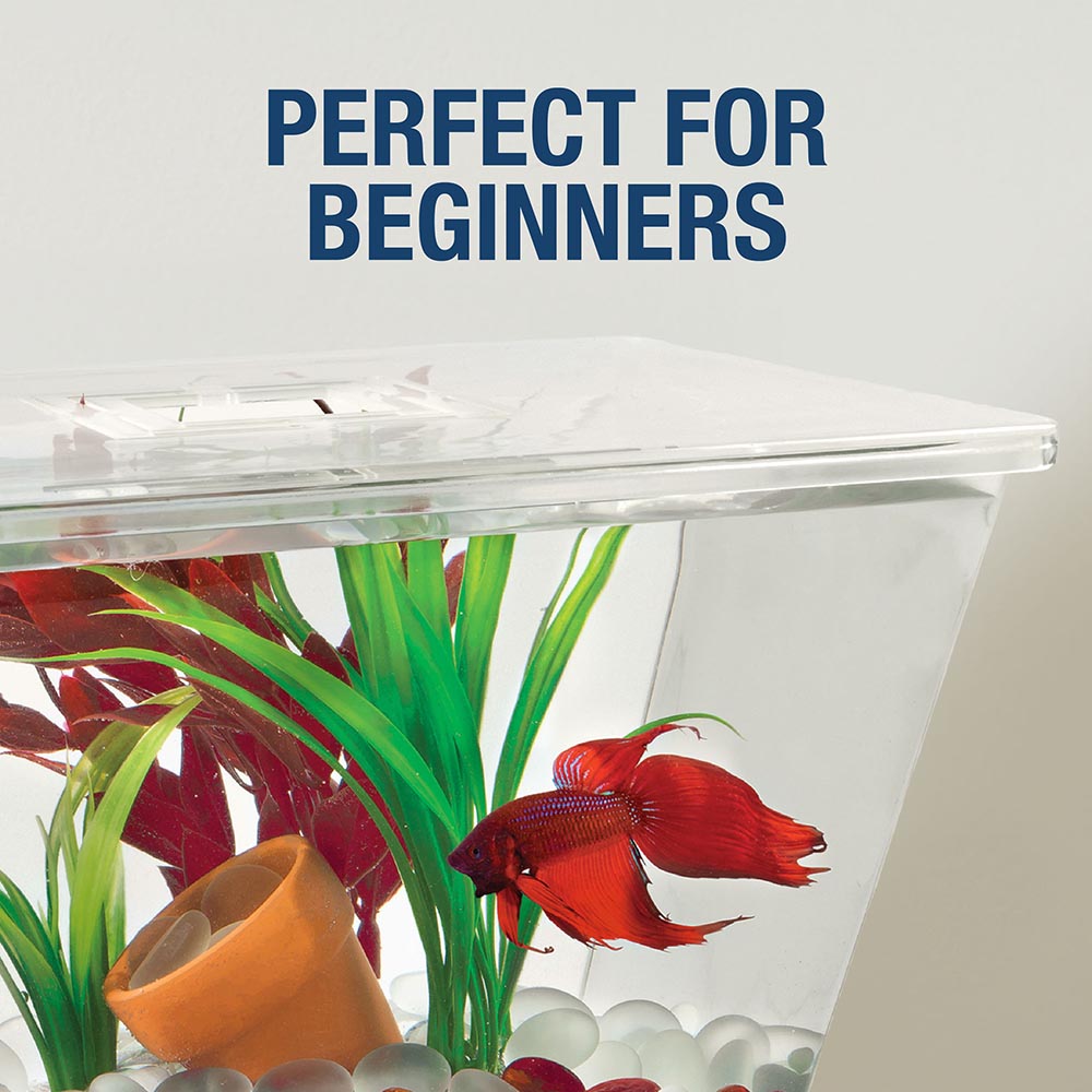 AQ-29050 Tetra LED Betta Tank, 1 Gallon, Small, Clear Plastic Trapezoid-Shaped Fish Tank - Perfect for Beginners