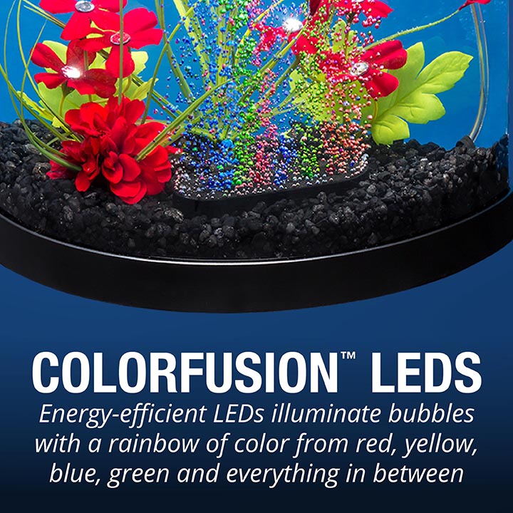 colorfusion leds