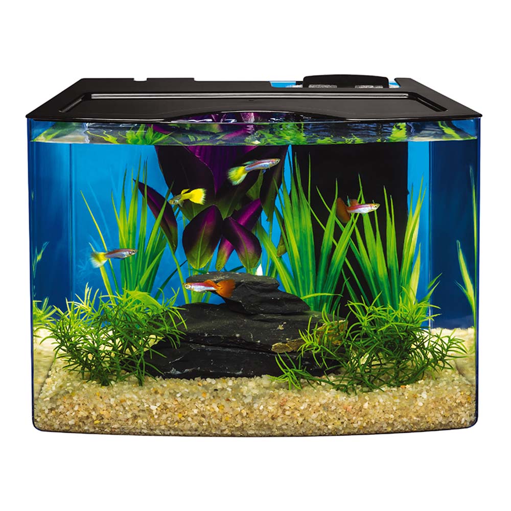 AQ-78481E Crescent STEM Aquarium Kit With Activity Guide, 3 Gal - Hero Image