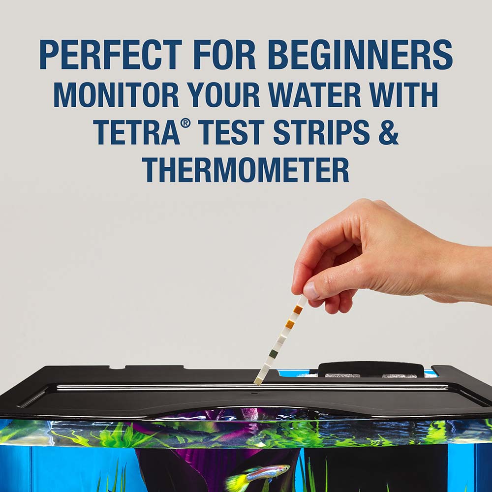 AQ-78481E Crescent STEM Aquarium Kit With Activity Guide, 3 Gal - Perfect for Beginners. Monitor Your Water with Tetra Test Strips & Thermometer