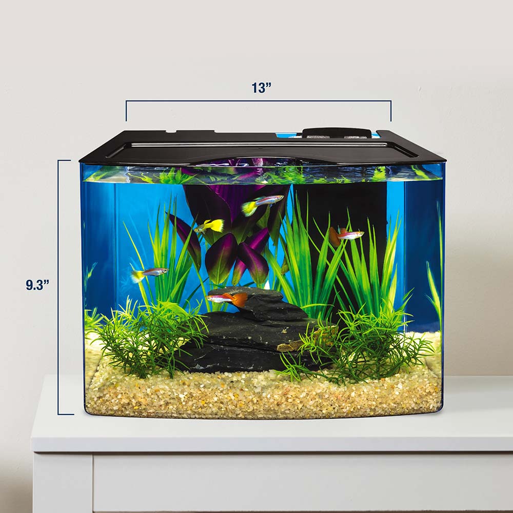 AQ-78481E Crescent STEM Aquarium Kit With Activity Guide, 3 Gal - Dimensions