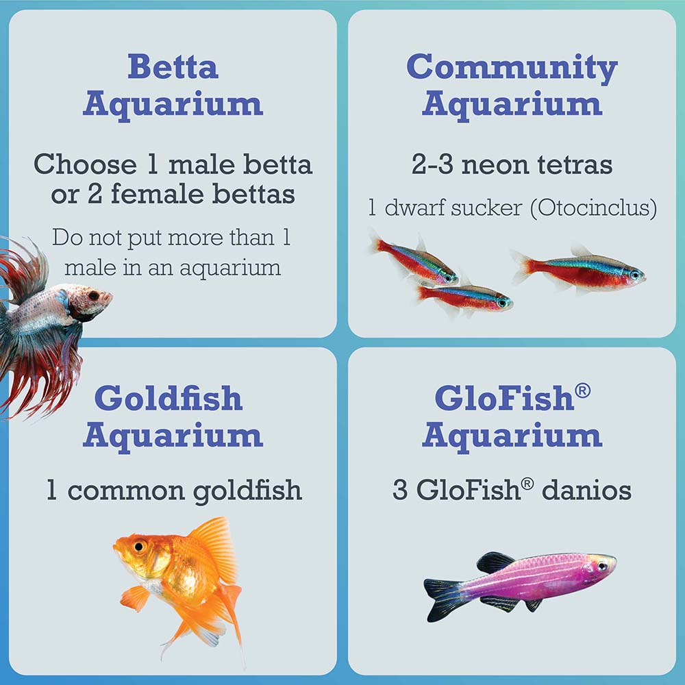 AQ-78481E Crescent STEM Aquarium Kit With Activity Guide, 3 Gal - What to Stock Your Tank With