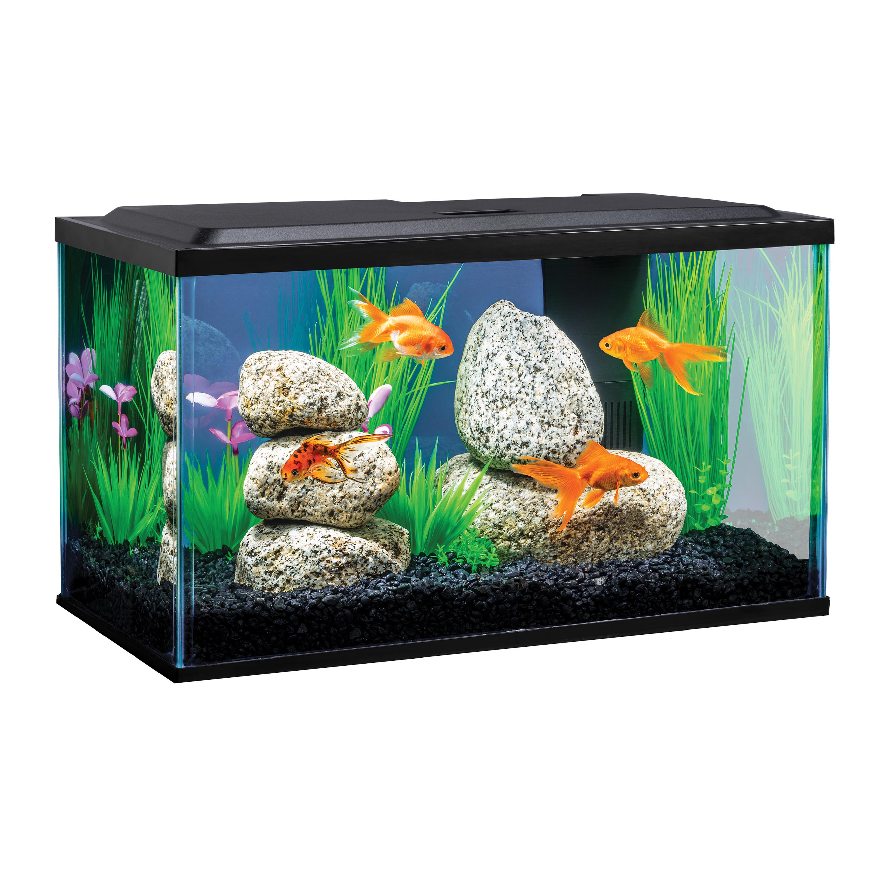 NV8162003 Tetra Goldfish Kit 10 Gallon Wet