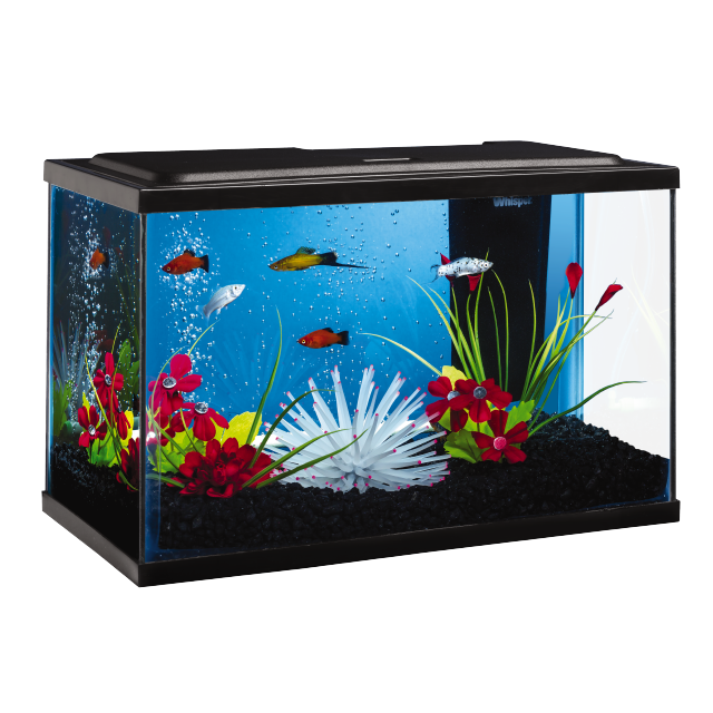 Tetra ColorFusion Bubbling LED Aquarium Kit 5 Gal Tank Wet