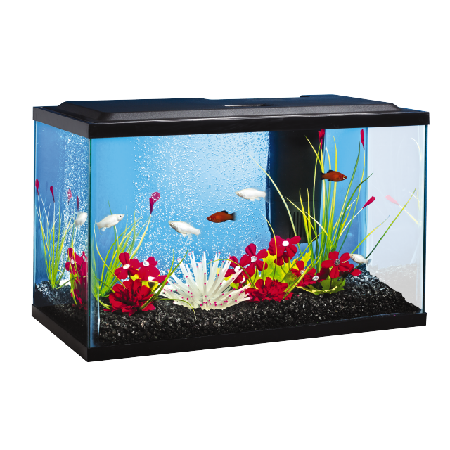 Tetra ColorFusion Bubbling LED Aquarium Kit 10 Gal Tank Wet