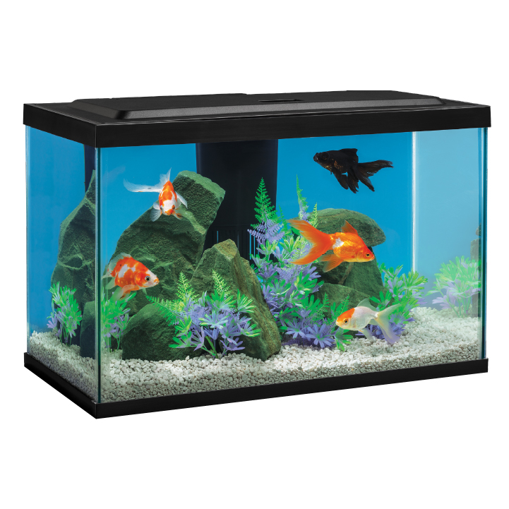 NV33831A Tetra Goldfish LED Kit 20 Gal Tank Wet