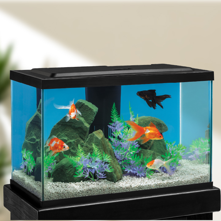 NV33831A  Tetra Goldfish LED Kit 20 Gal Lifestyle