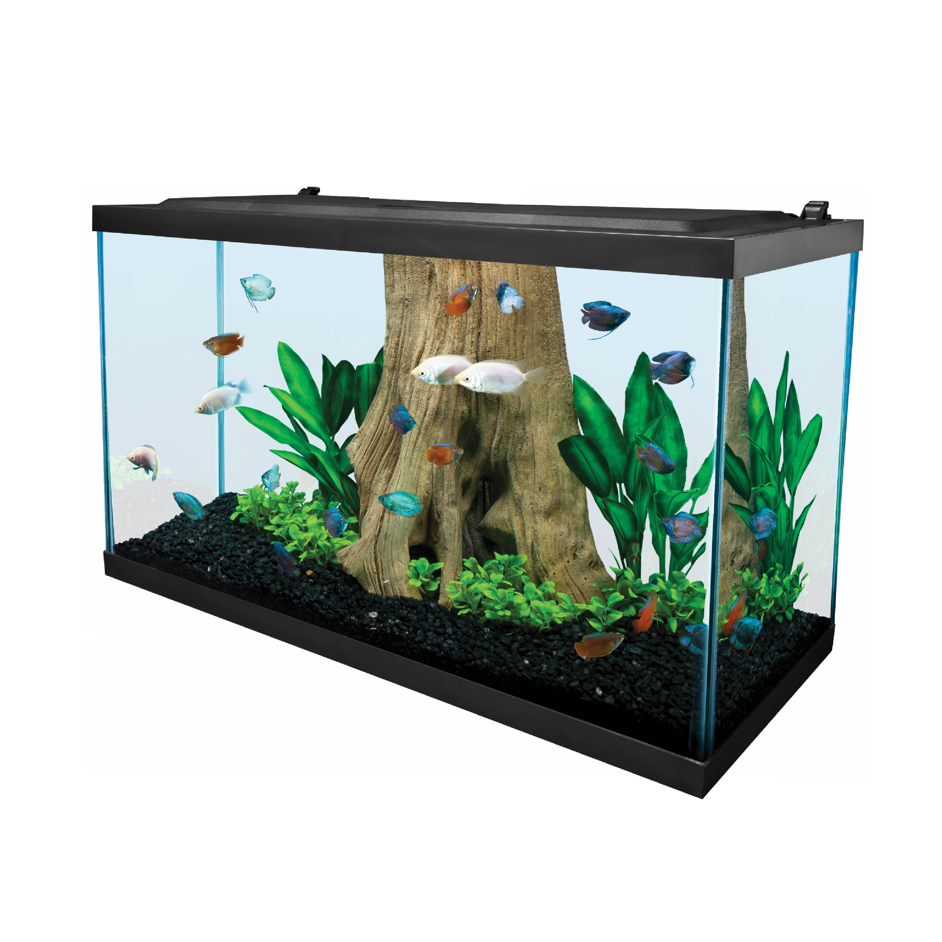 Tetra Complete LED Aquarium Kit 29 Gal Tank Wet
