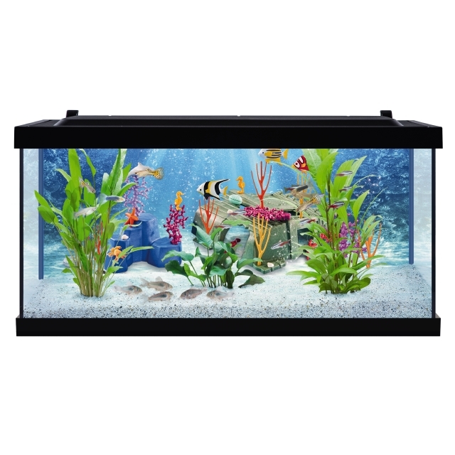Tetra PLAYMOBIL Explore Your Aquarium 10 Gallon Kit Tank Wet