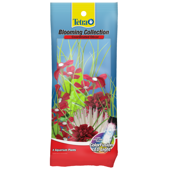 Tetra ColorFusion Blooming Plants Front