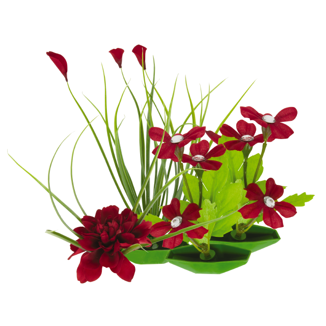 Tetra ColorFusion Blooming Plants Group Assortment Out of Pack