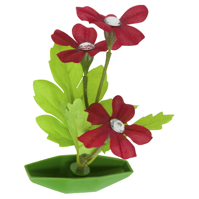 Tetra ColorFusion Blooming Plants Geraniums Out of Pack