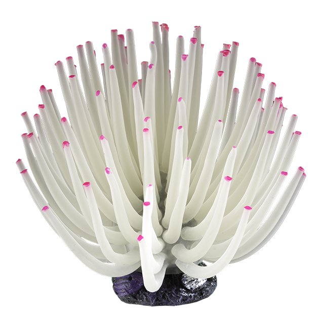 Tetra ColorFusion Blooming Anemone Out of Pack