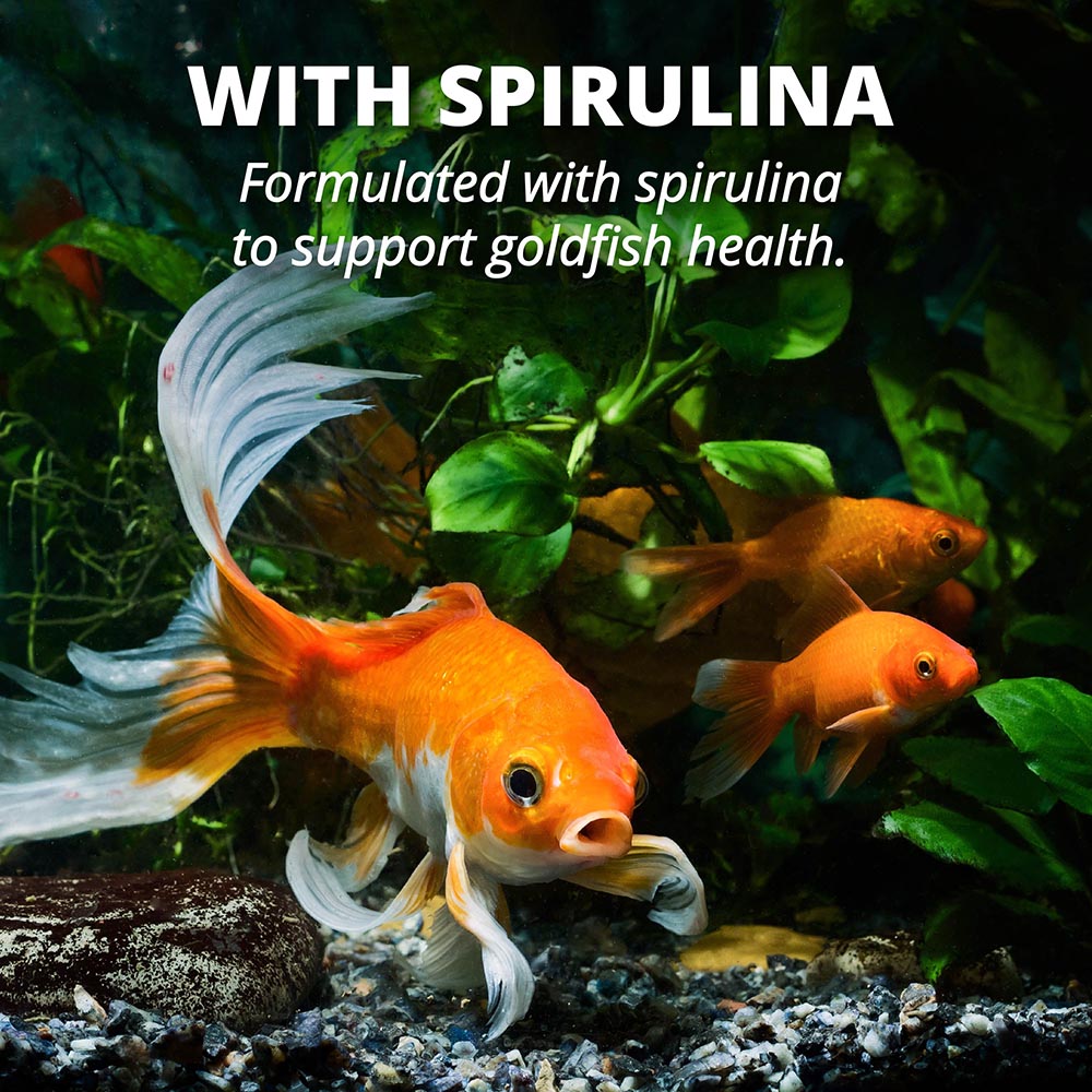 AQ-78328-1 Tetra Goldfish Select Goldfish Flakes 1 Ounce, Premium Staple Food For All Goldfish - With Spirulina