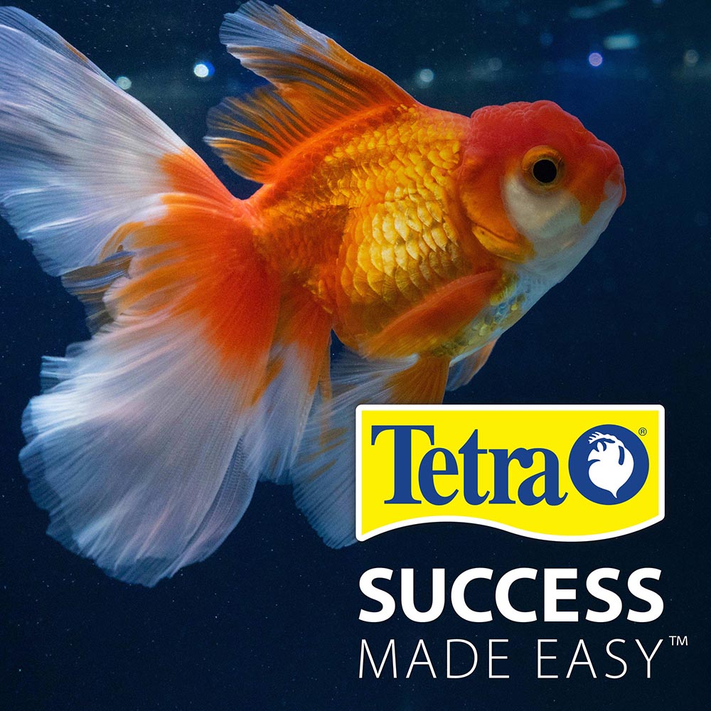 AQ-78328-1 Tetra Goldfish Select Goldfish Flakes 1 Ounce, Premium Staple Food For All Goldfish - Success Made Easy
