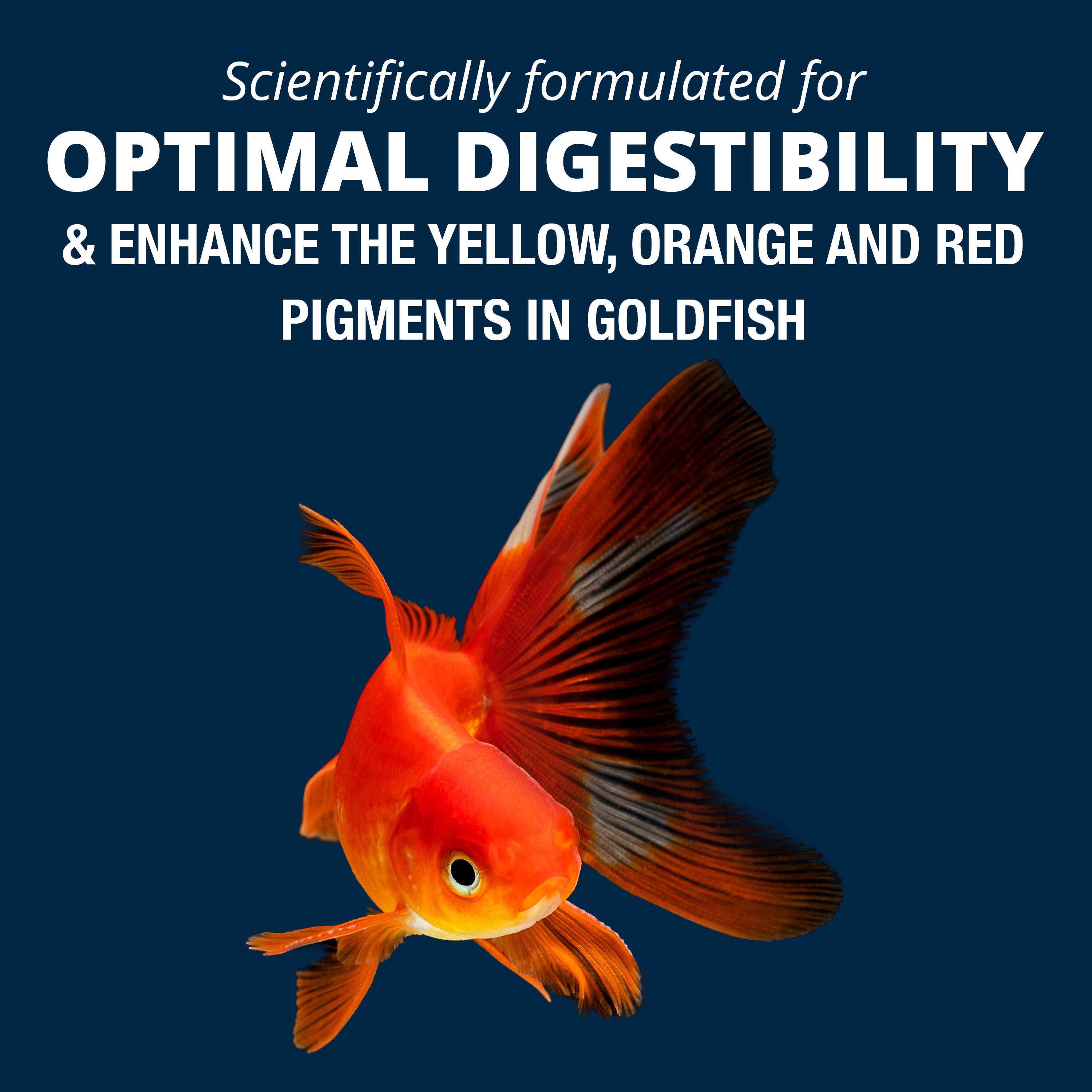 AQ78587 Tetra Goldfish Worm Shaped Bites Feature