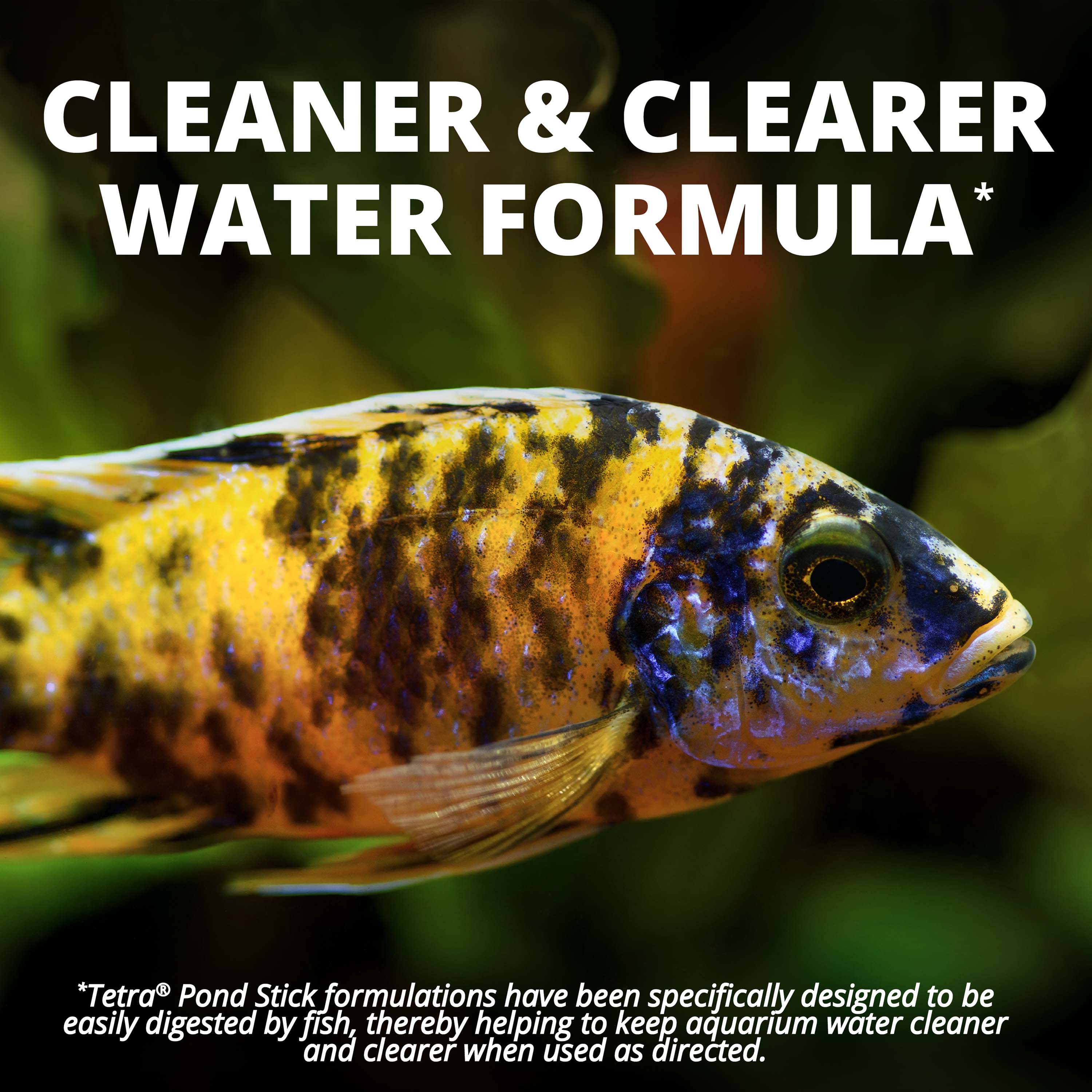 AQ-16147 TetraCichlid™ Cichlid Flakes - Cleaner & Clearer Water Formula