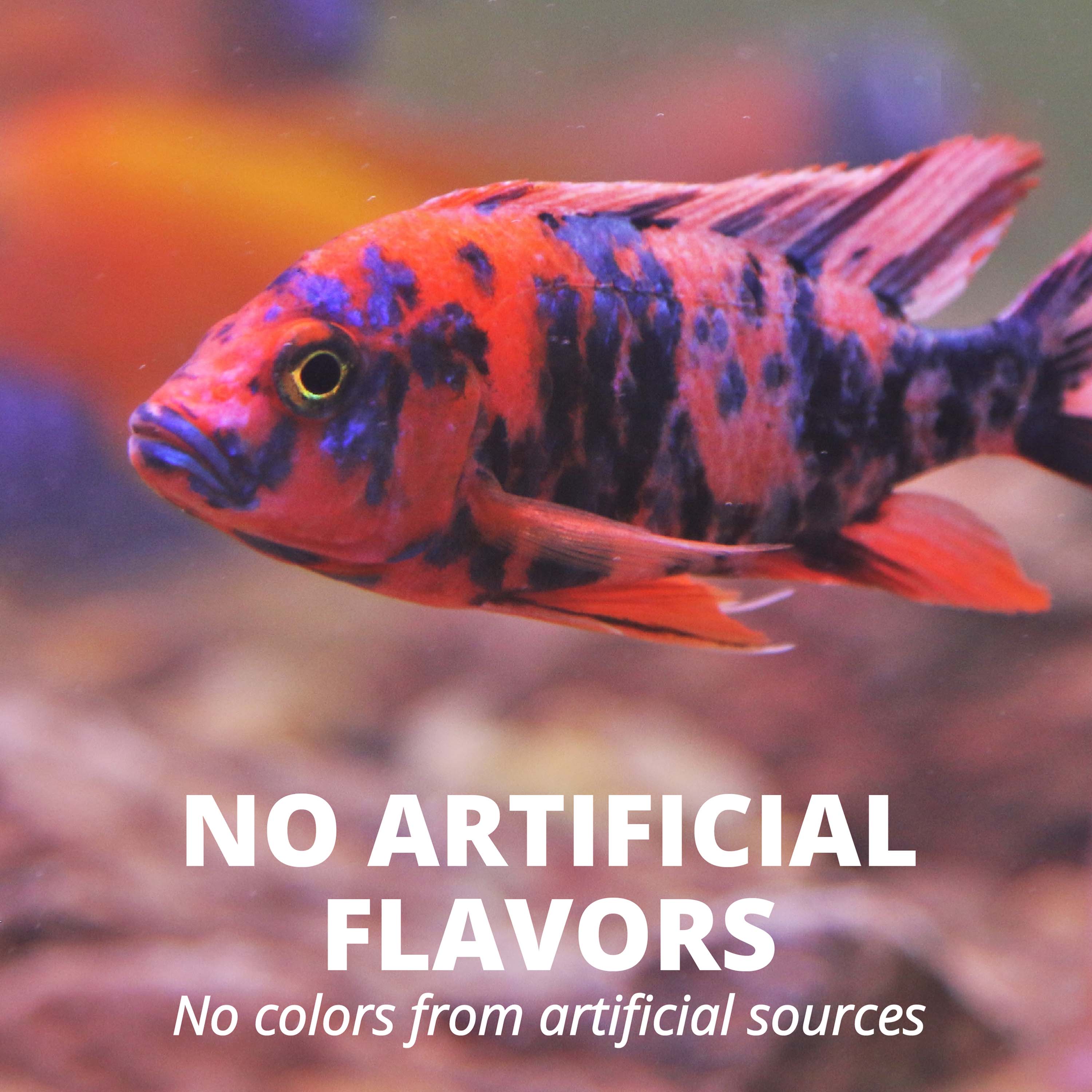 AQ-16147 TetraCichlid™ Cichlid Flakes - No Artificial Flavors