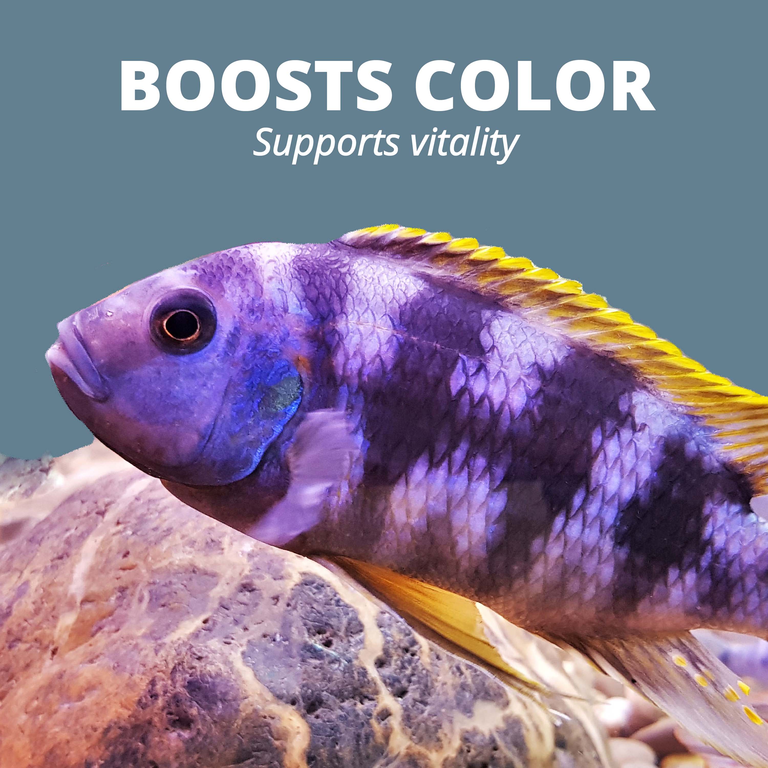 AQ-16147 TetraCichlid™ Cichlid Flakes - Boosts Color