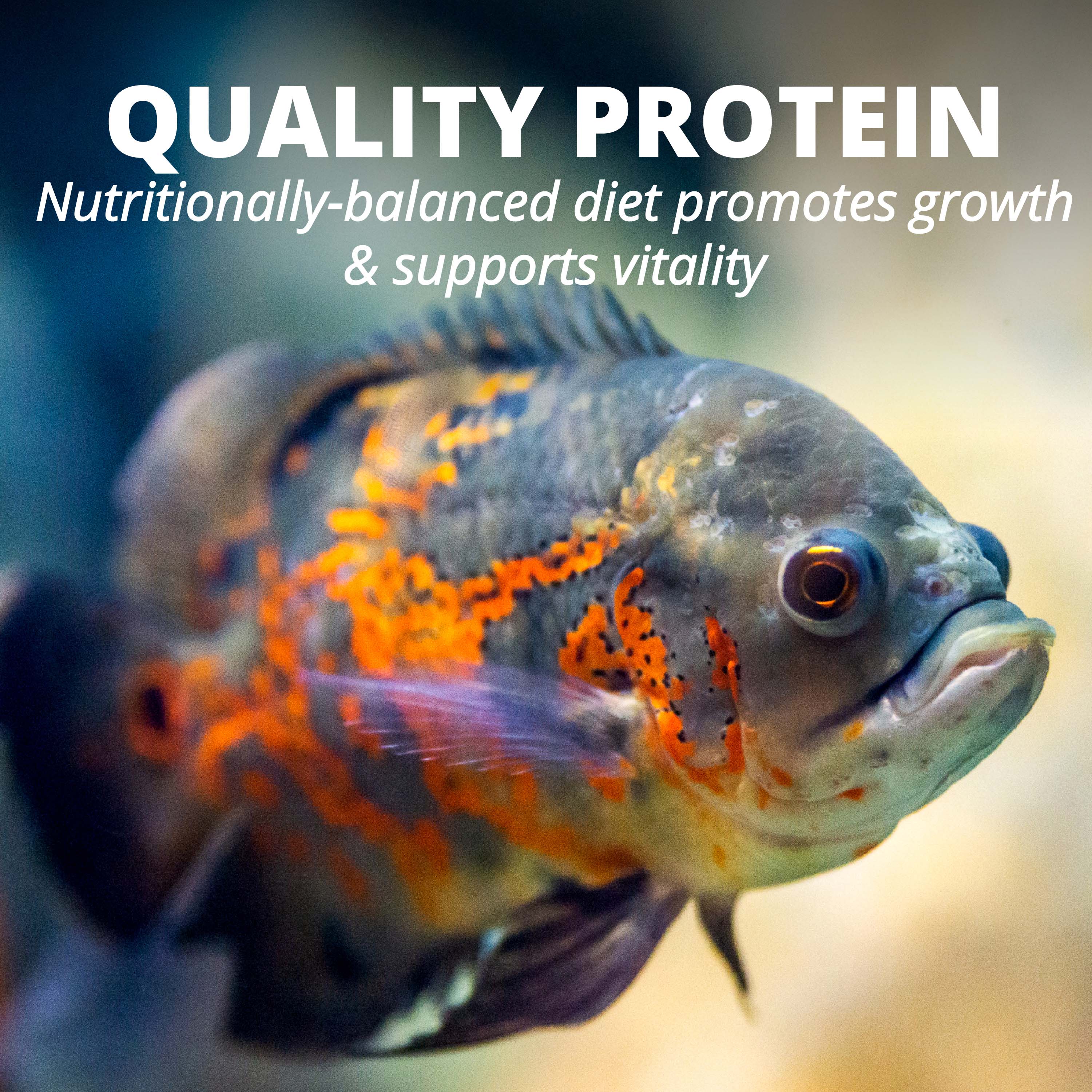 AQ-16250 TetraCichlid™ Floating Cichlid Pellets - Quality Protein