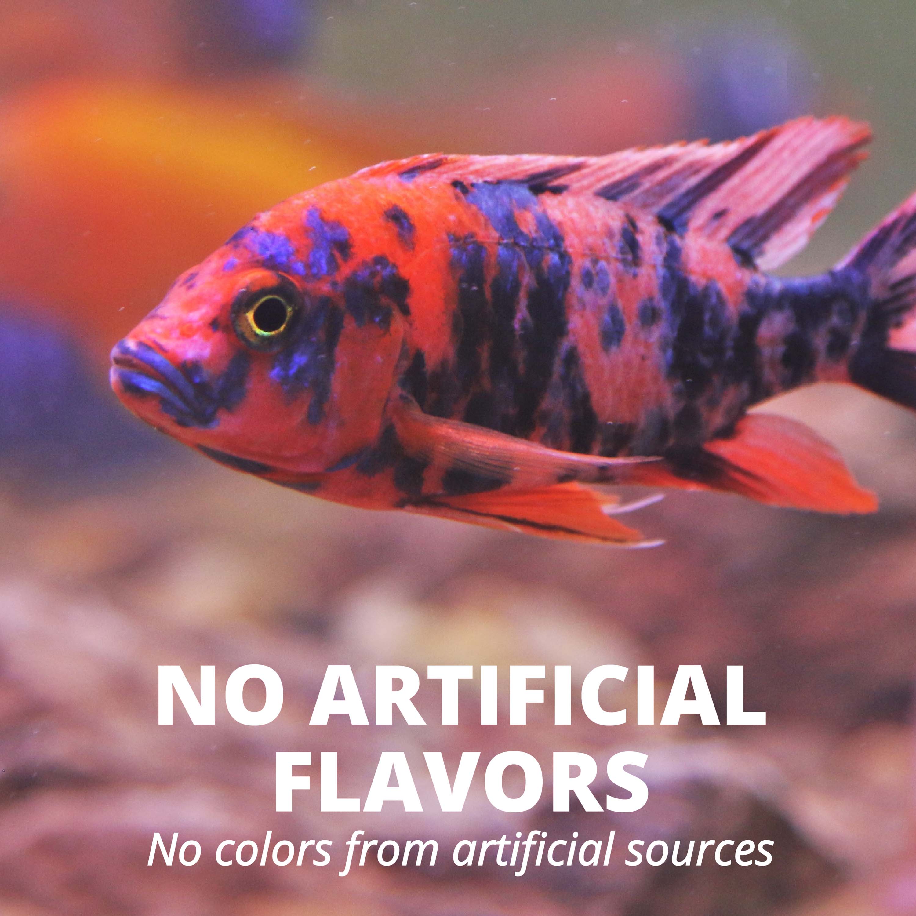 AQ-16250 TetraCichlid™ Floating Cichlid Pellets - No Artificial Flavors