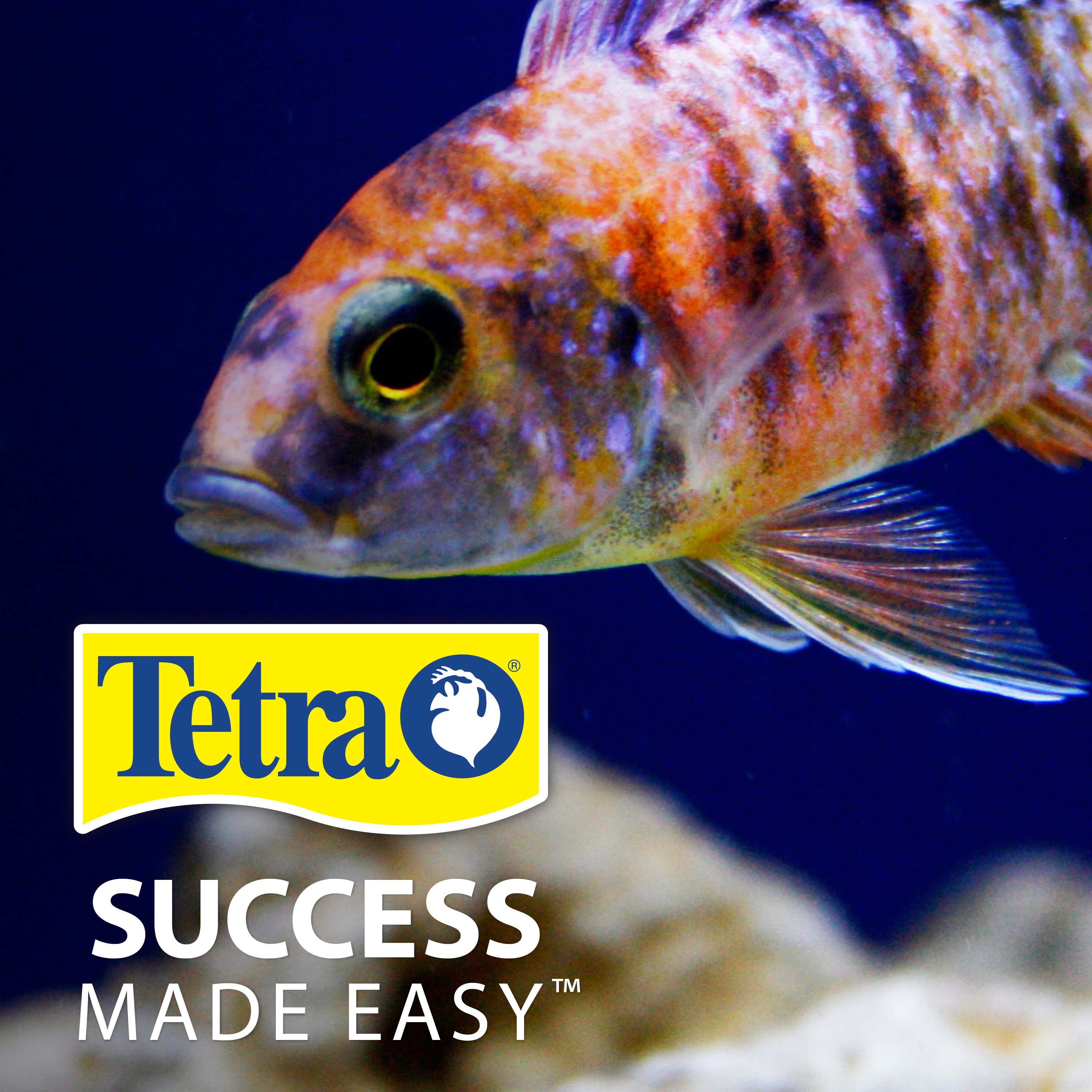 AQ-16250 TetraCichlid™ Floating Cichlid Pellets - Success Made Easy