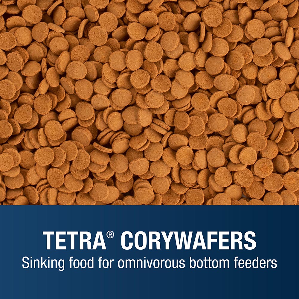TETRA CORYWAFERS Sinking food for omnivorous bottom feeders