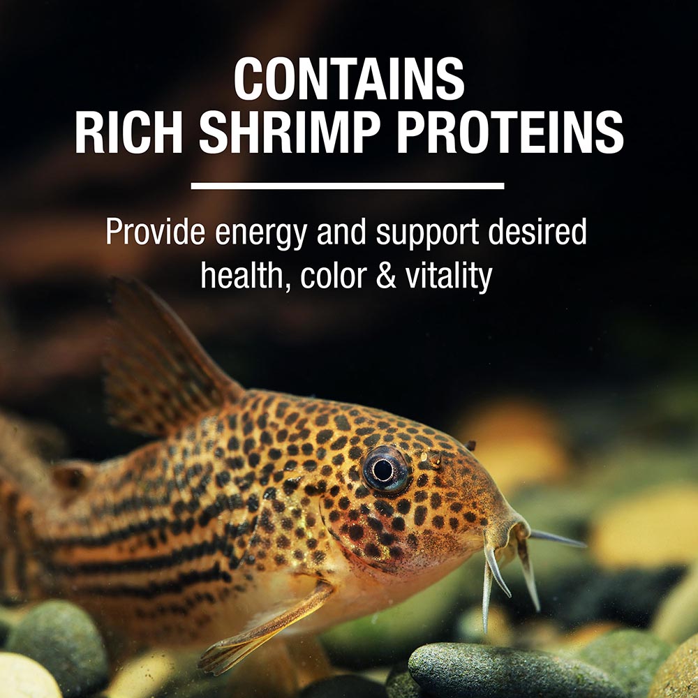contains rich shrimp proteins that provides energy and support desired health, color and vitality