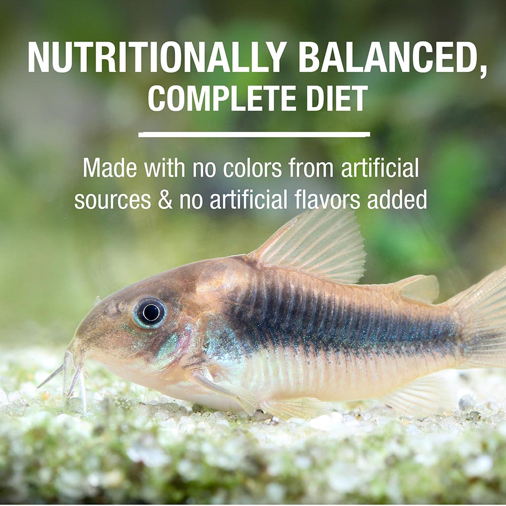 nutritionally balanced, complete diet