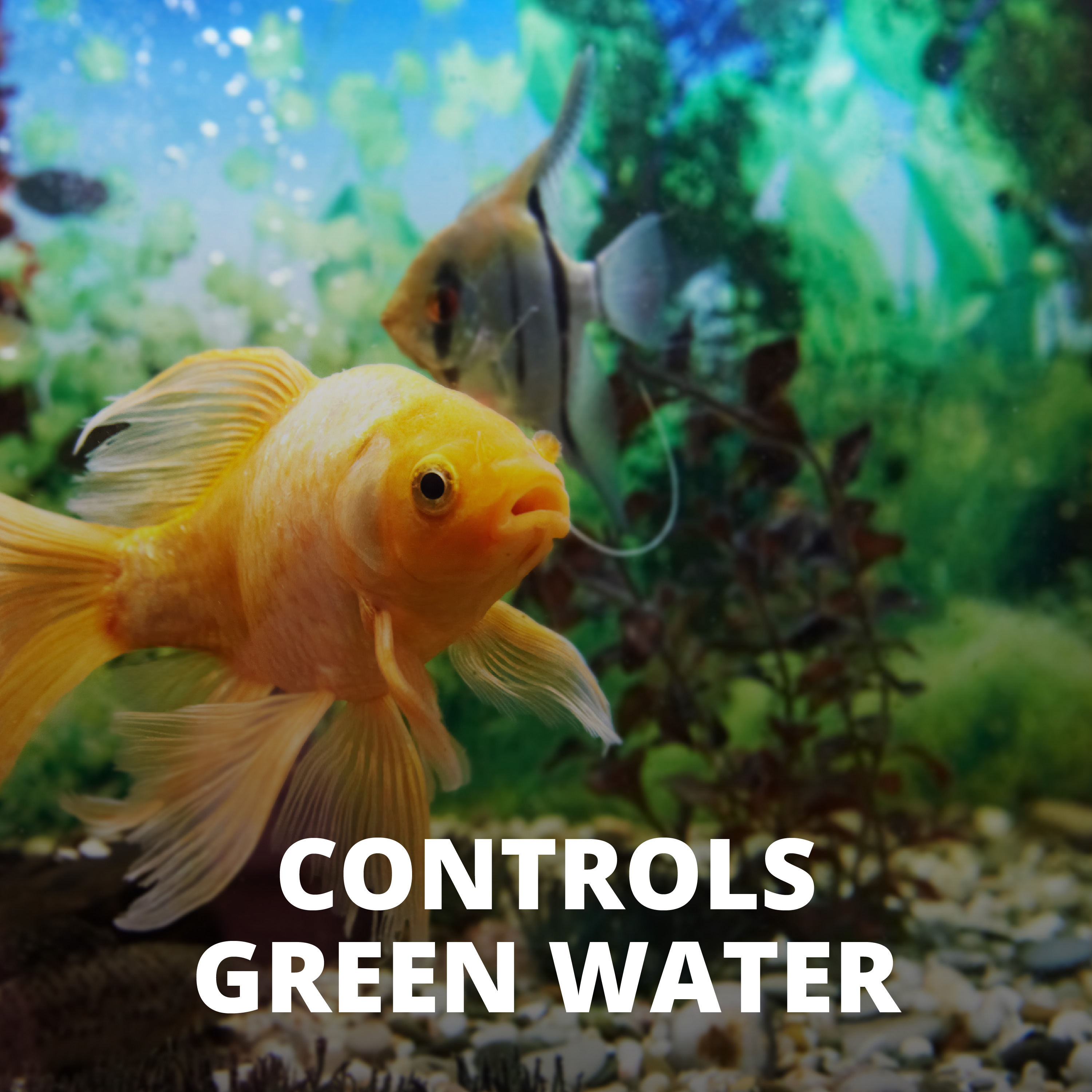 AQ-77183 Tetra AlgaeControl™ - Controls Green Water