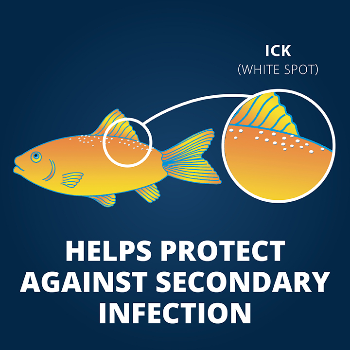 Tetra_AQ7734710_MainImages_04_SellingPoint