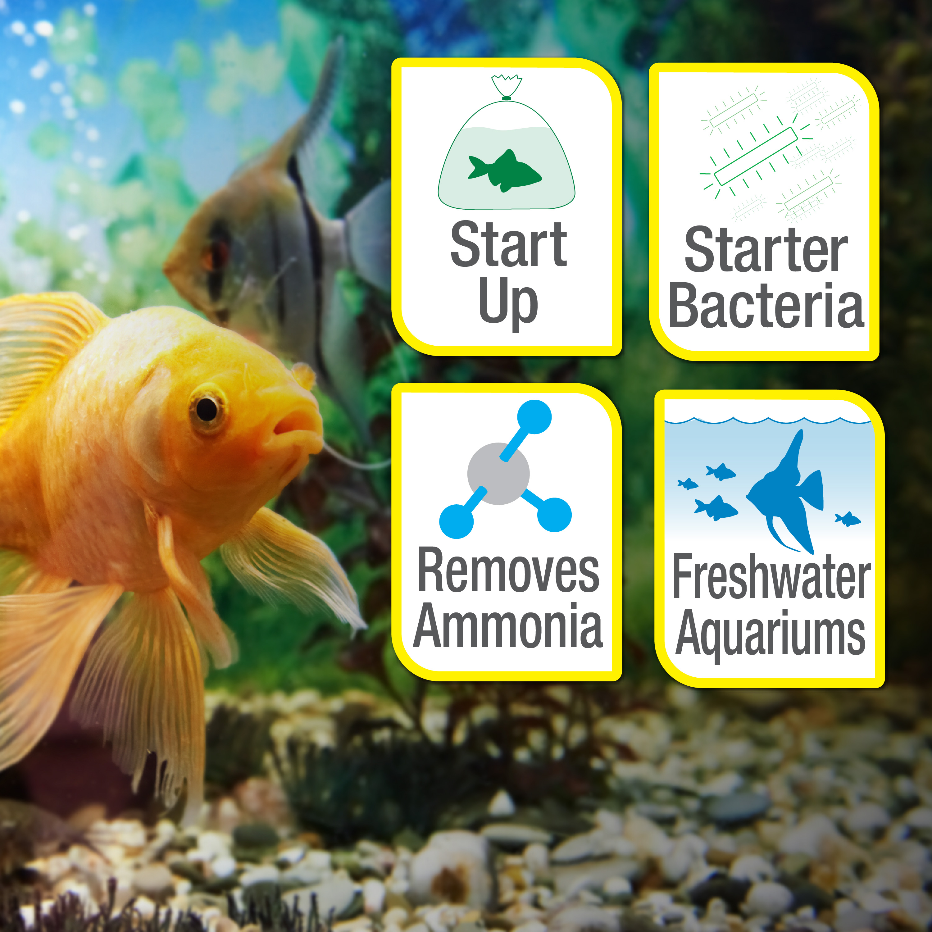 Tetra_AQ77965 SellingPoint