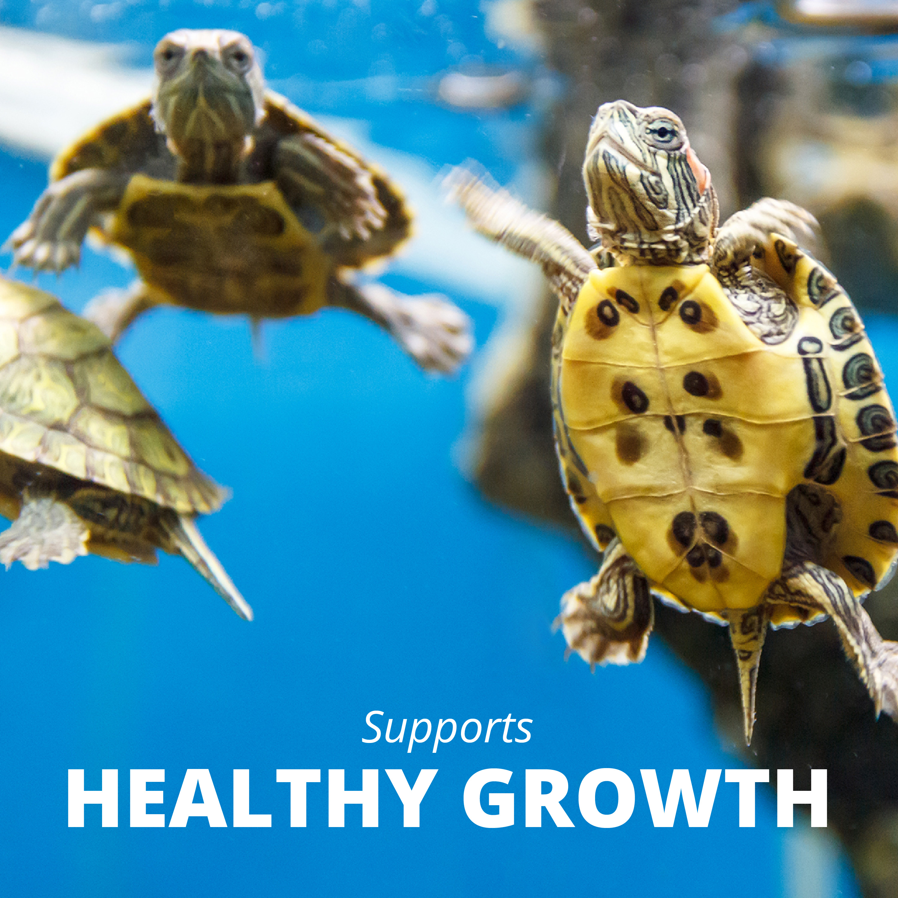 AQ78625 ReptoMin Jumbo Floating Food Sticks Supports Healthy Growth