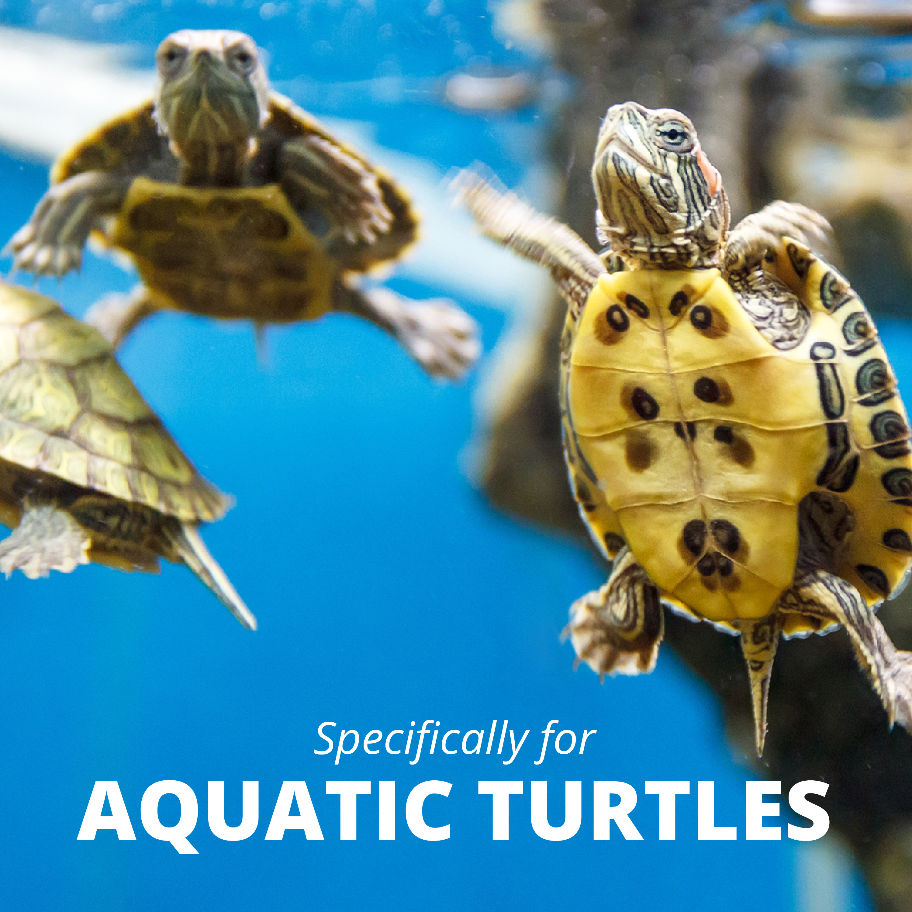 AQ78626 ReptoMin Select-A-Food Specifically for Aquatic Turtles