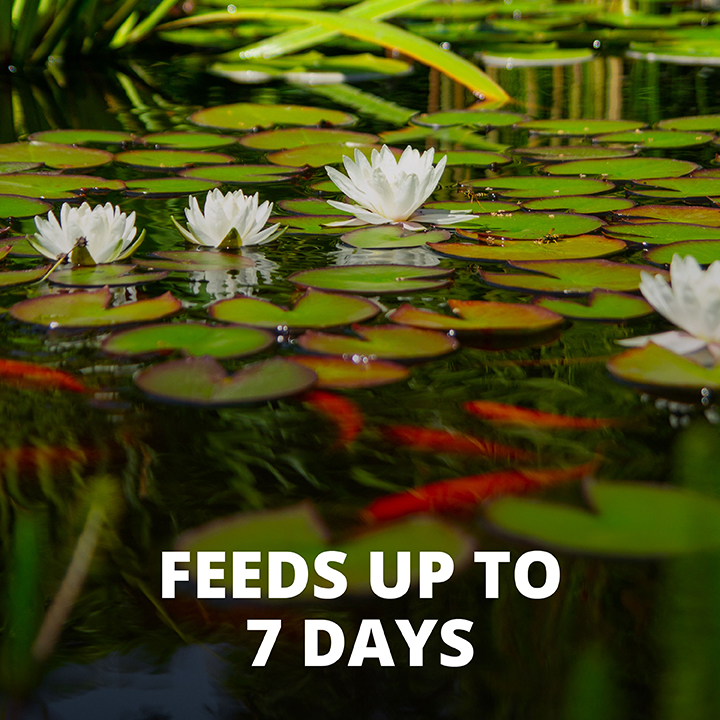 Tetra AQ16477 Pond Vacation Food Feeds Up to 7 Days